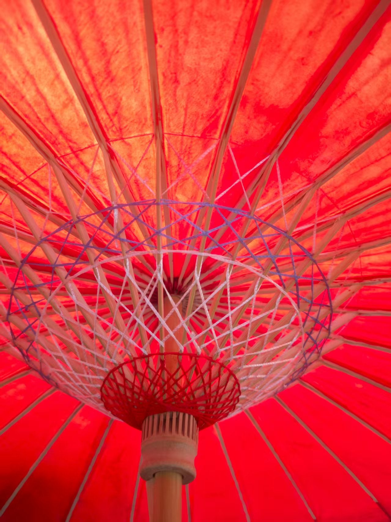 Festive red oil-perper umbrella
