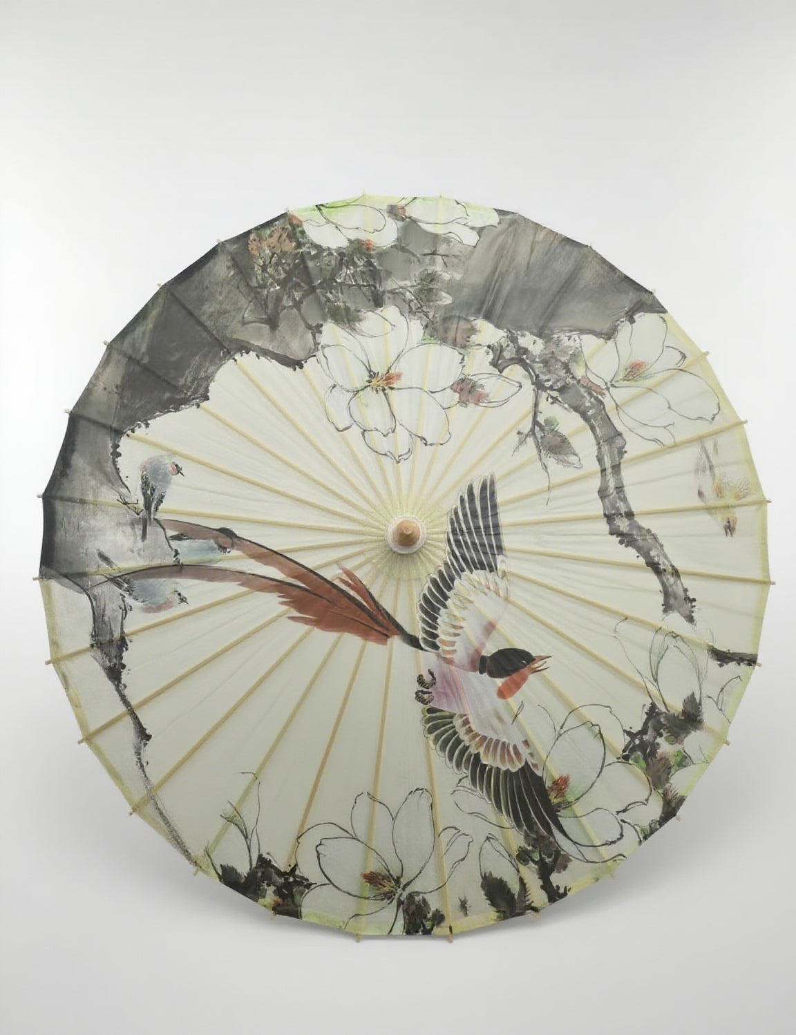 Chinese flower-and-bird painting中国花鸟画